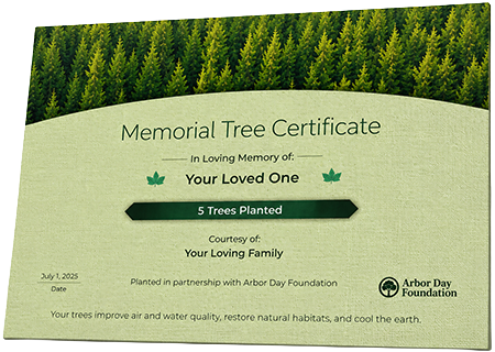Plant Trees in Memory of Michael Luvon Lee
